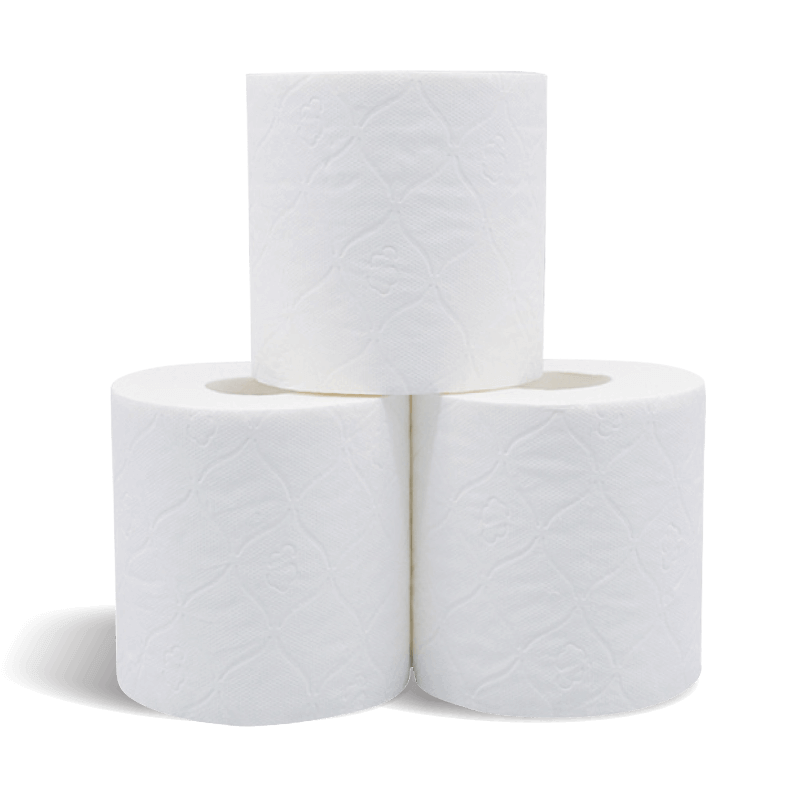 2 PLY Toilet Paper Tissue Roll (48p)